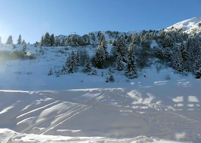 Le Blanc *